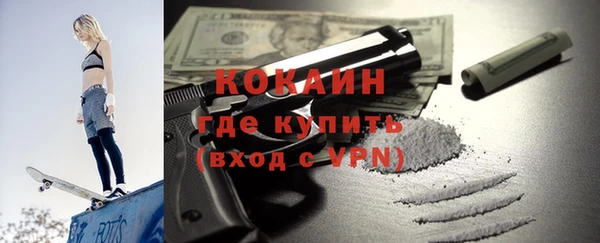 индика Аркадак