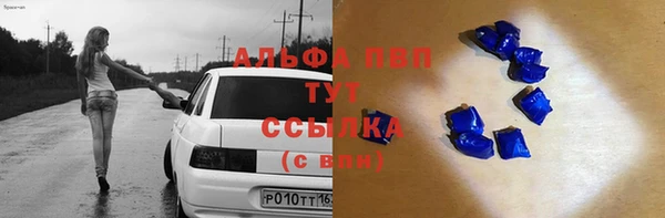 индика Аркадак