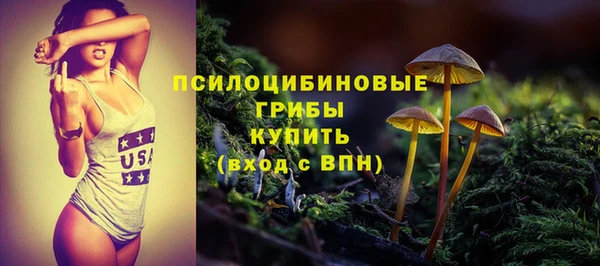 индика Аркадак