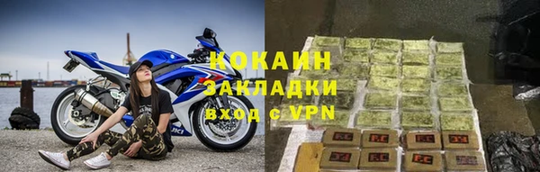 индика Аркадак