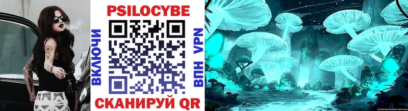 Галлюциногенные грибы Psilocybe Переславль-Залесский
