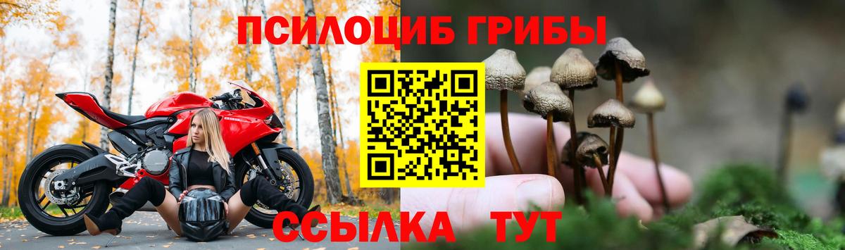 купить наркотик  Галлюциногенные грибы Magic Shrooms  Вход с VPN  Переславль-Залесский 